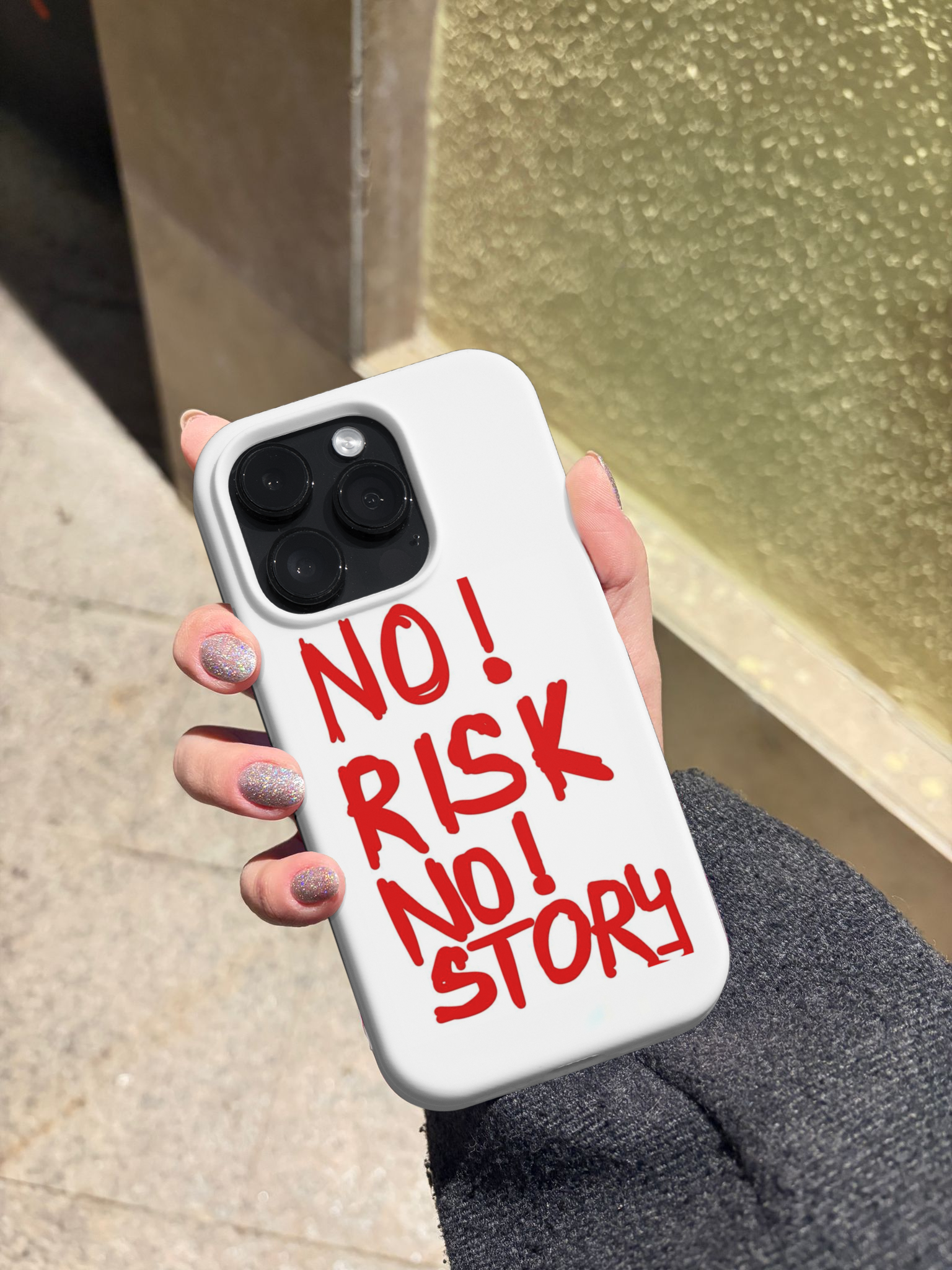No Risk No Story Telefon Kılıfı Z118
